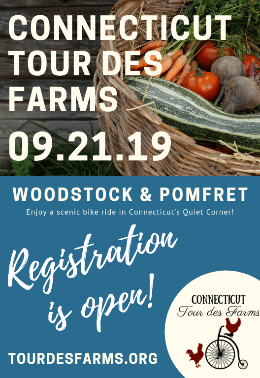 websitetdf2019 websitetdf2019