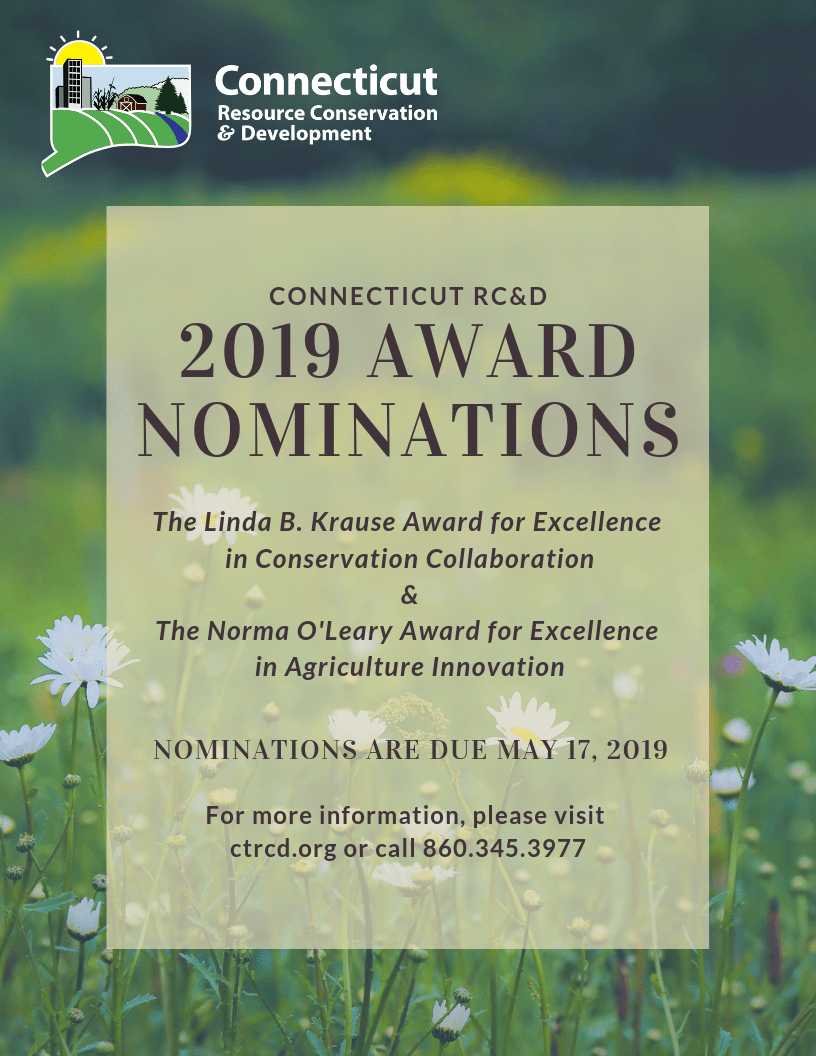 2019 award nominations