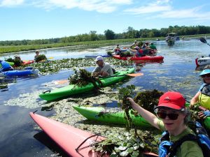 jonahcenter_waterchestnut jonahcenter_waterchestnut
