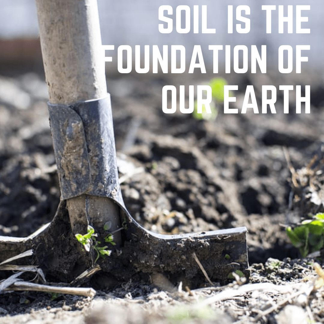 soil_ana