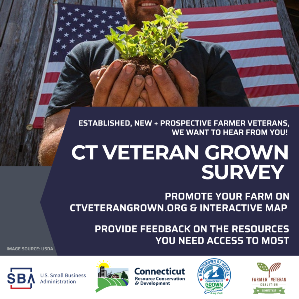 CT Veteran Grown Survey Image FINAL