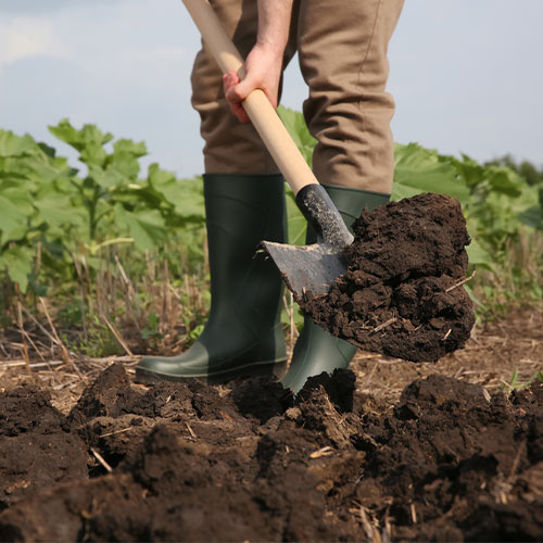 Farmer digging in soil