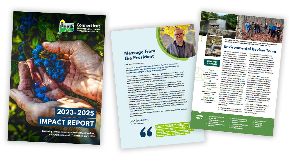 report cover