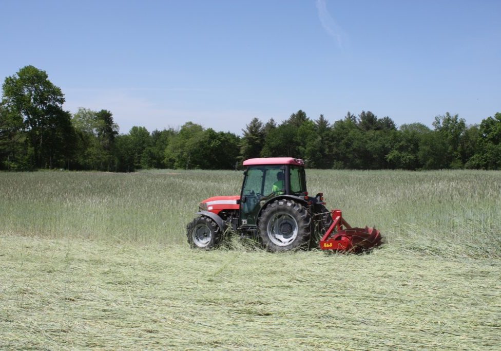 CIG_NoTill_CoverCrop CIG_NoTill_CoverCrop