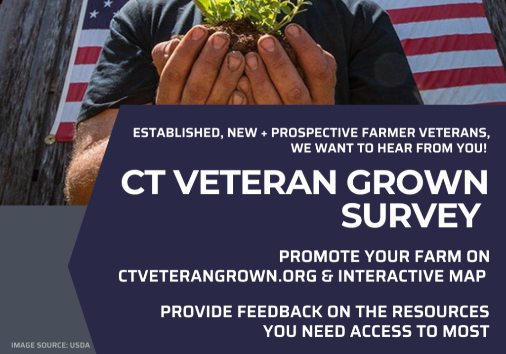 CT Veteran Grown Survey Image FINAL CT Veteran Grown Survey Image FINAL