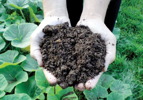HandwCompost HandwCompost