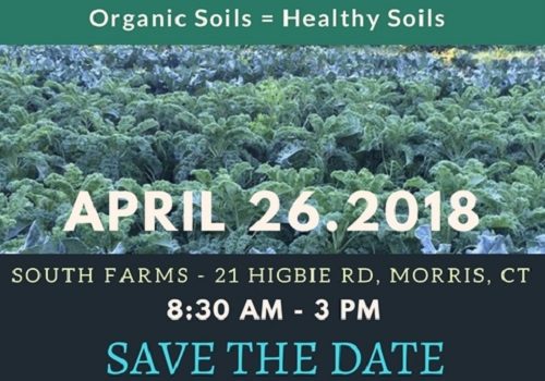 Organic Soils