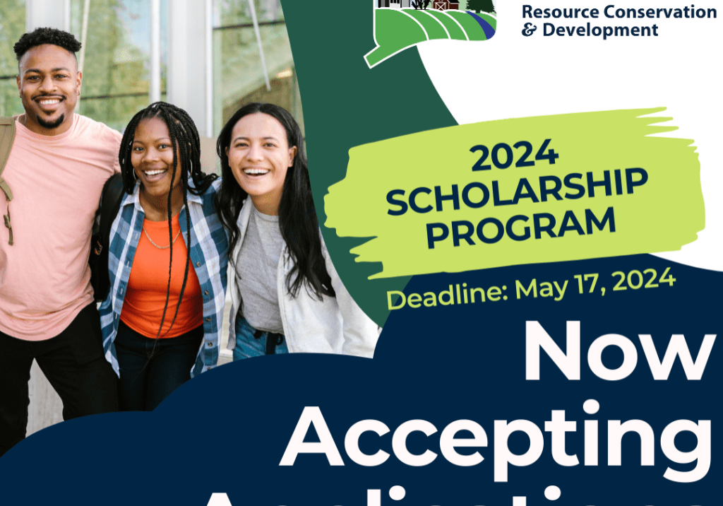 Scholarship 2024-2 Scholarship 2024-2