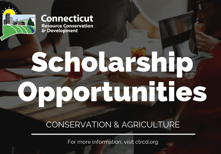 ScholarshipAnnouncement ScholarshipAnnouncement