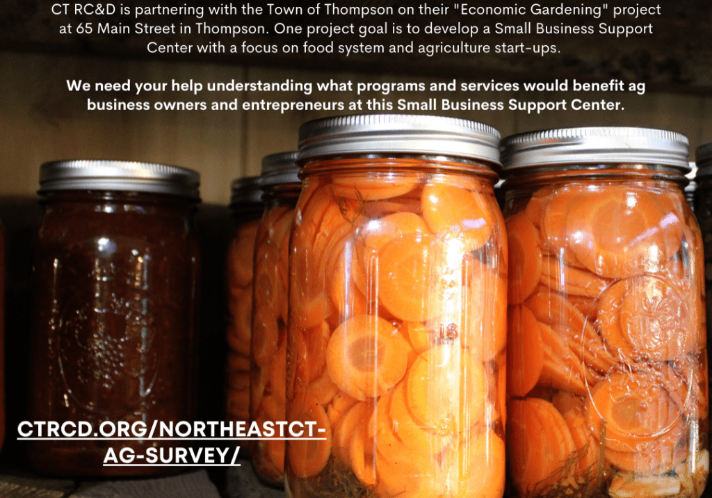 Survey